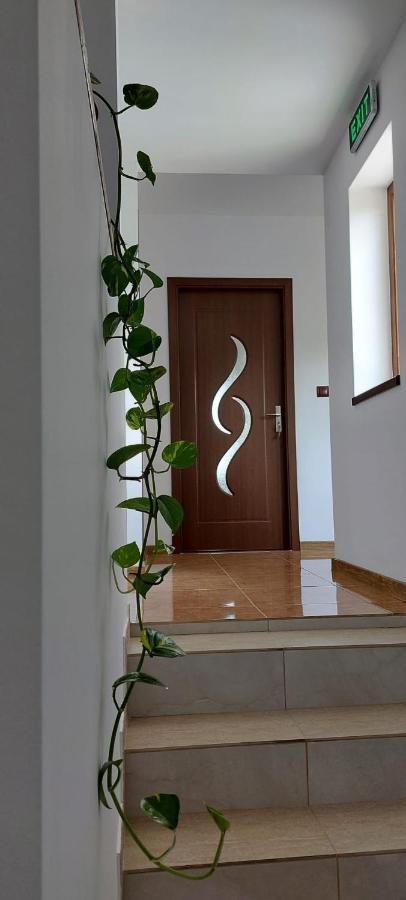 Agropensiunea Olteanu Niculitel Luaran gambar
