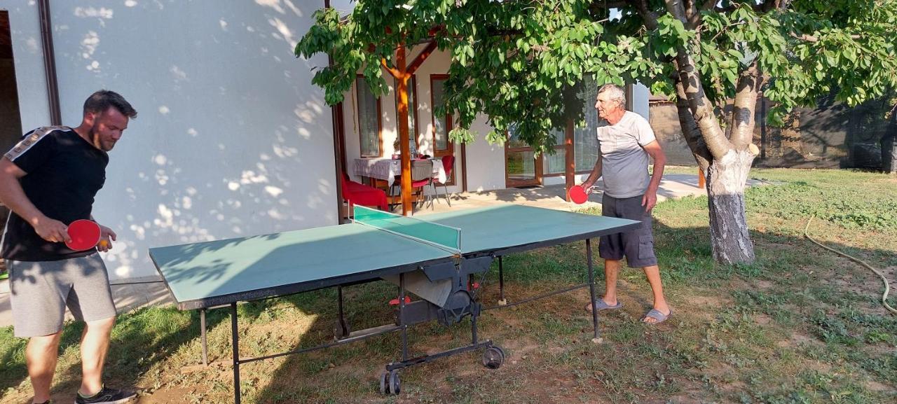 Agropensiunea Olteanu Niculitel Luaran gambar